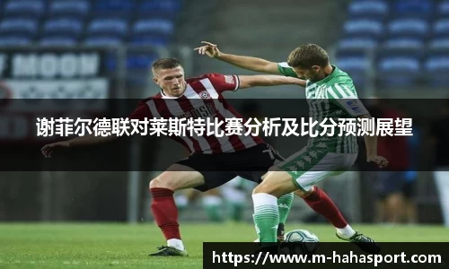 哈哈体育